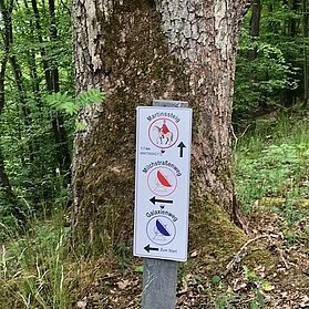 Rundweg: Milchstraßen- und Galaxienweg, Martinssteig