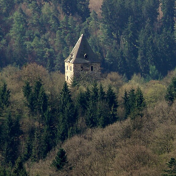Blick auf die Wensburg