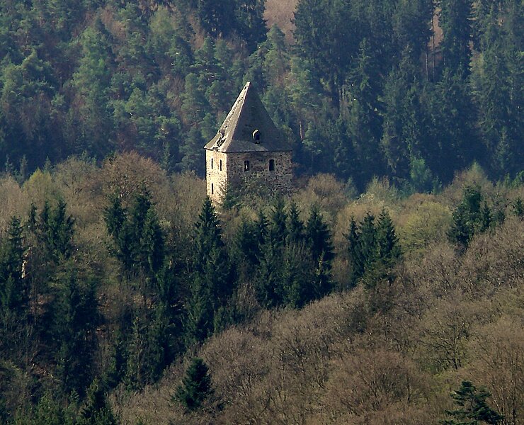 Blick auf die Wensburg