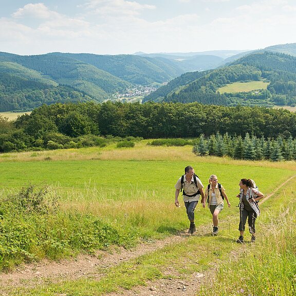 Anstieg zum Dümpelhardt