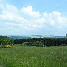 Blick von der Wershofener Höhe