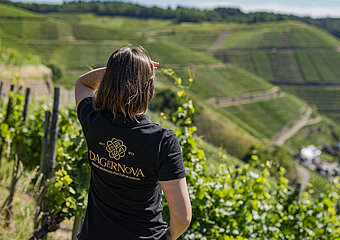 Ahrtal, Bad Neuenahr-Ahrweiler, Dagernova, Weinmanufaktur