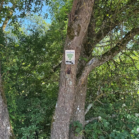 Wegzeichen Lind Panoramaweg