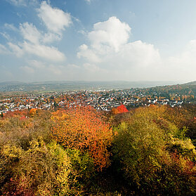 Feltenturm, Sinzig, AhrSteig, Ahrtal, Rheintal