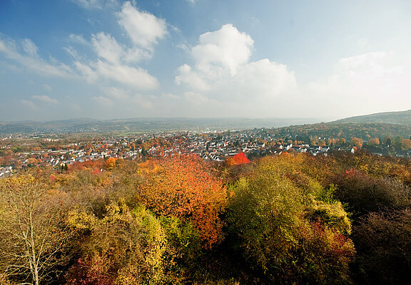 Feltenturm, Sinzig, AhrSteig, Ahrtal, Rheintal