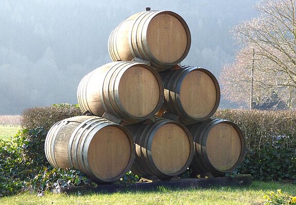 relaxen_in_der_eifel_ferienwohnung_rech_buchen__3_