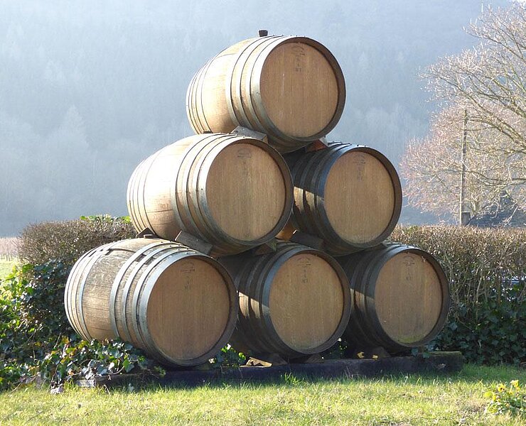 relaxen_in_der_eifel_ferienwohnung_rech_buchen__3_