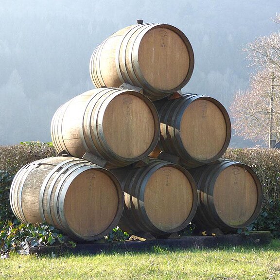 relaxen_in_der_eifel_ferienwohnung_rech_buchen__3_