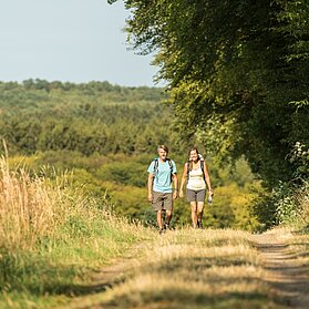 Auf dem Bohrsberg bei Freilingen