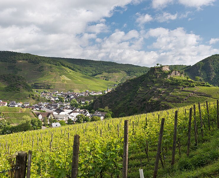 Saffenburg, AhrSteig, Wandern, Ahrtal