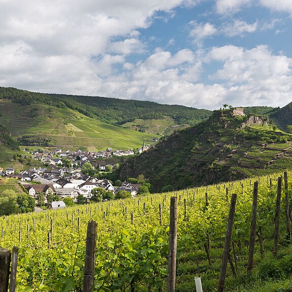 Saffenburg, AhrSteig, Wandern, Ahrtal