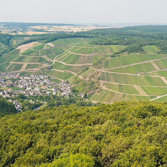 Krausberg, Ahrtal, Wandern, Dernau