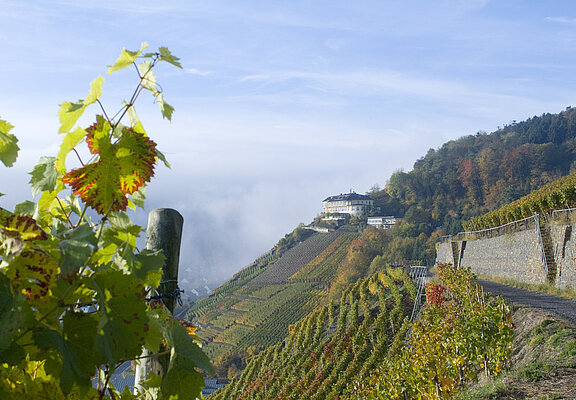 Hotel Hohenzollern, Restaurant Hohenzollern, Ahrtal, Bad Neuenahr-Ahrweiler, Rotweinwanderweg
