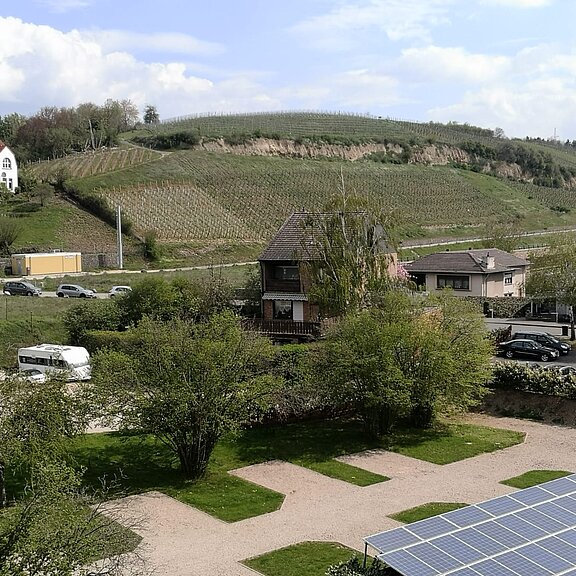 Campingplatz am Weingut Sonnenberg