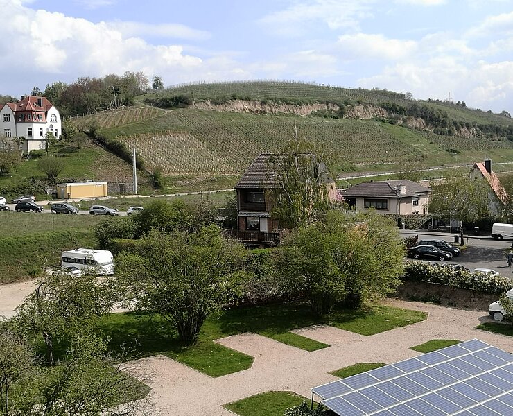 Campingplatz am Weingut Sonnenberg
