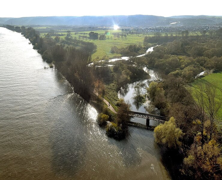 Rhein mit Ahrmündung