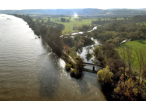 Rhein mit Ahrmündung