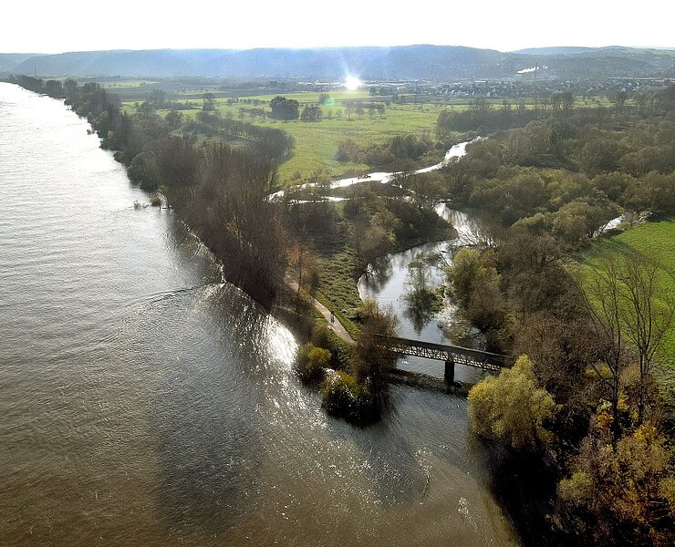 Rhein mit Ahrmündung