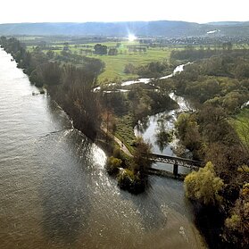 Rhein mit Ahrmündung