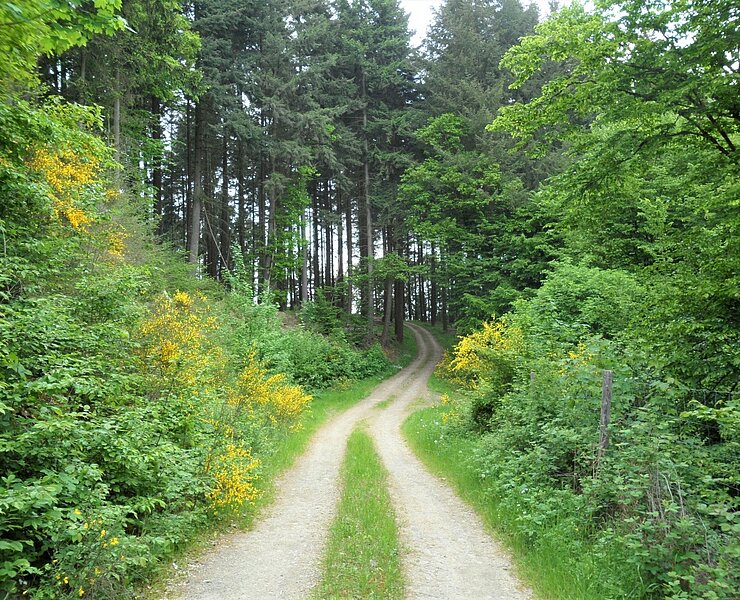 Aufstieg nach Wershofen