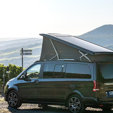 Campingbus parkt in den Weinbergen