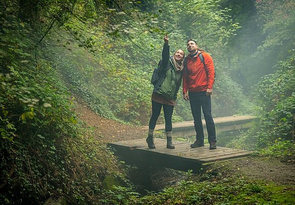 Holzbrücke der Maibachklamm