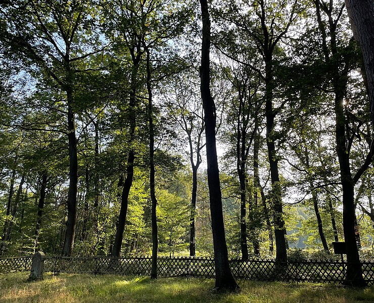 Alter Jüdischer Friedhof Remagen