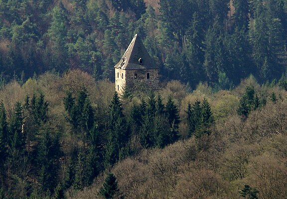 Blick auf die Wensburg
