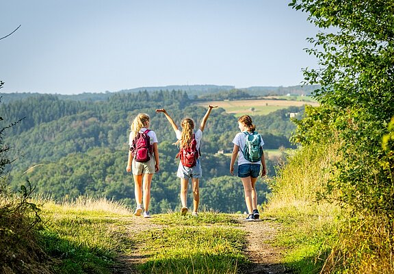 Sahrbachtal-Gottfried-Kinkel-Weg, Häselingen
