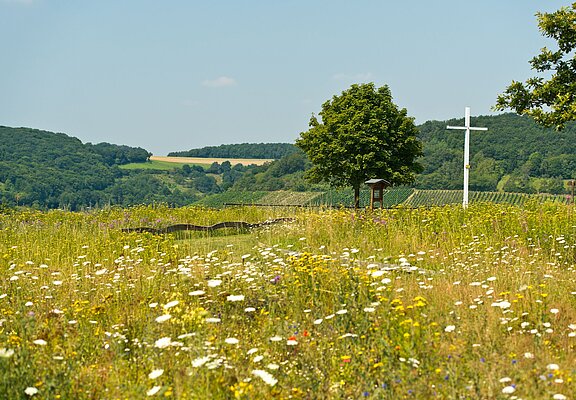 Ehlinger Ley, Ahrtal, Ehlingen, Ehlinger Köpfchen, AhrSteig