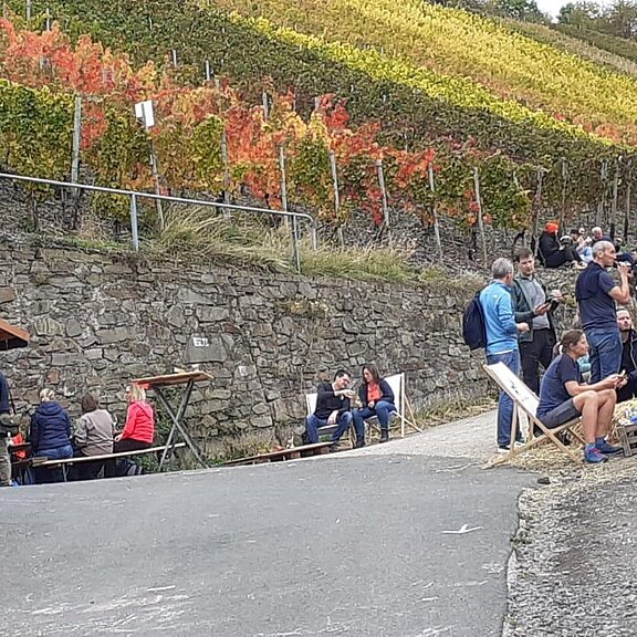 Stände unserer Winzer im September/Oktober