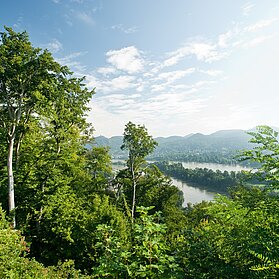 Blick aufs Siebengebirge