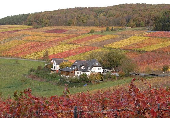Altenwegshof, Rotweinwanderweg, Ahrtal, Weinberge, Walporzheim, Ausflugsgaststätte