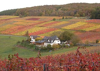 Altenwegshof, Rotweinwanderweg, Ahrtal, Weinberge, Walporzheim, Ausflugsgaststätte