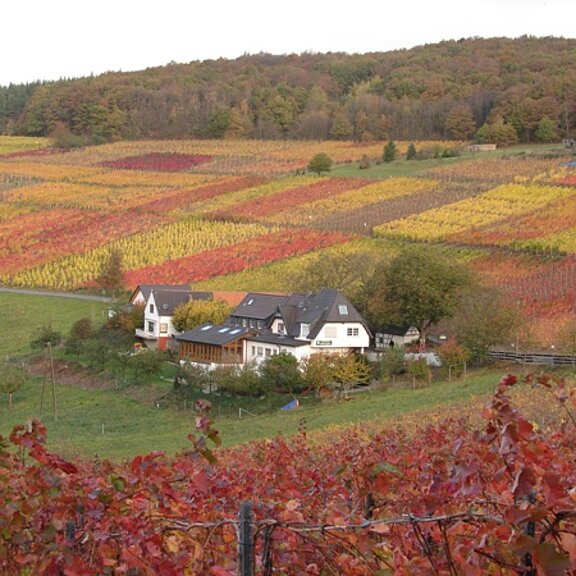 Altenwegshof, Rotweinwanderweg, Ahrtal, Weinberge, Walporzheim, Ausflugsgaststätte