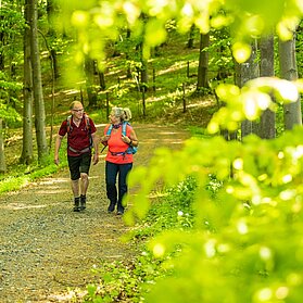 Wandern durch die grüne Hölle