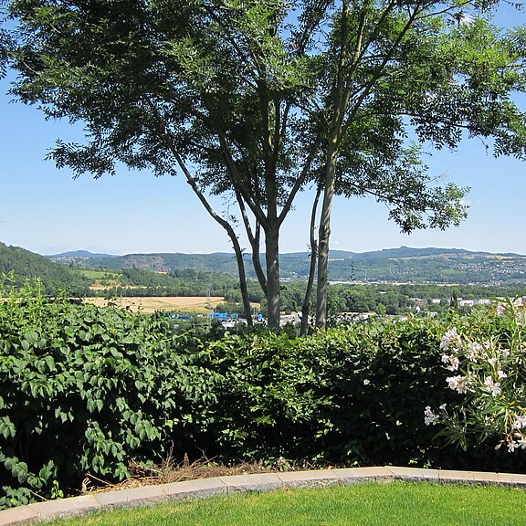 Blick vom Garten ins Rheintal