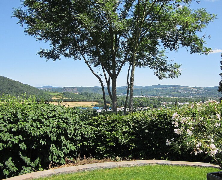 Blick vom Garten ins Rheintal