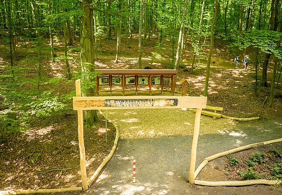 Waldentdeckerpfad Bad Neuenahr-Ahrweiler