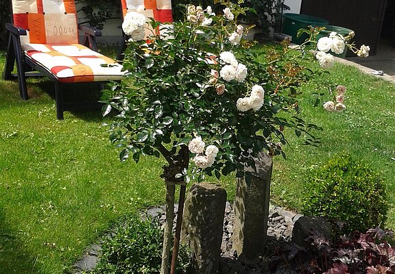 Sitzgelegenheit Garten