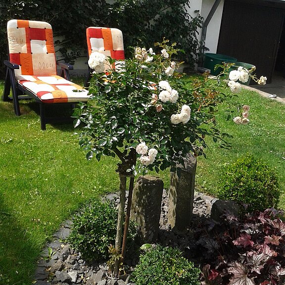 Sitzgelegenheit Garten