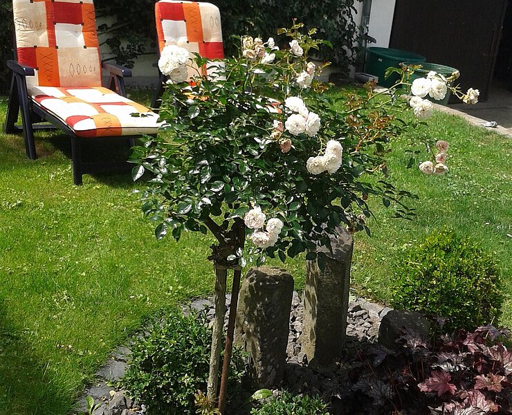 Sitzgelegenheit Garten