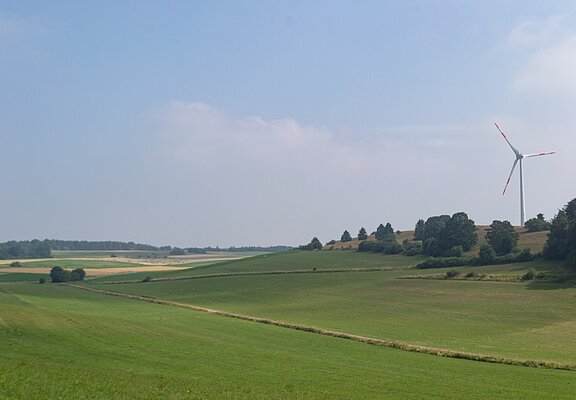 Blick über Wiesen