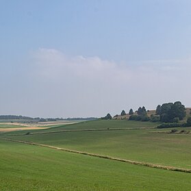 Blick über Wiesen