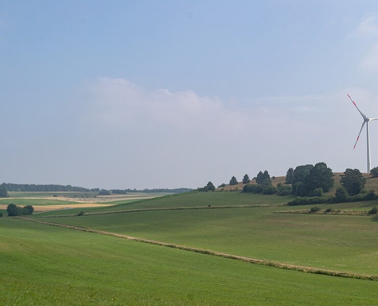 Blick über Wiesen