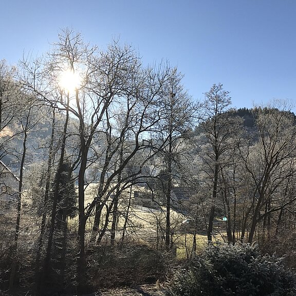 Blick vom Haus Richtung Denntal