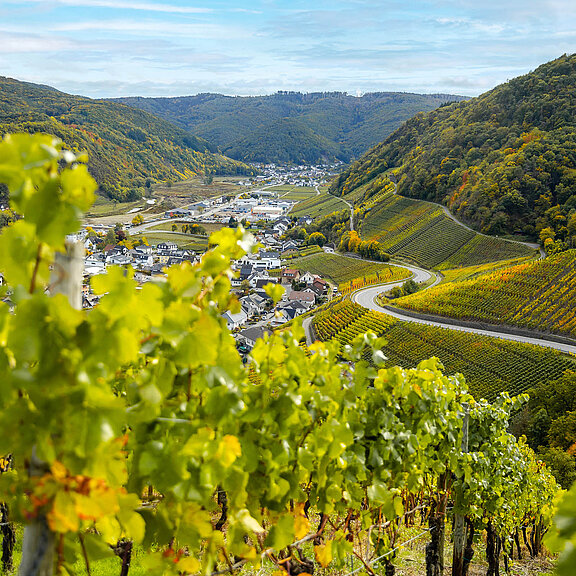 Weinberge bei Dernau