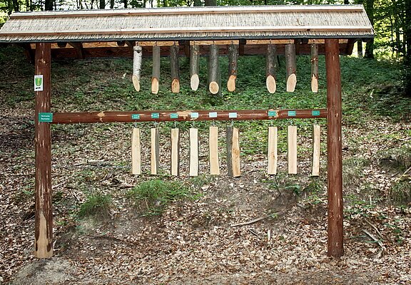 Infopunkt am Themenweg