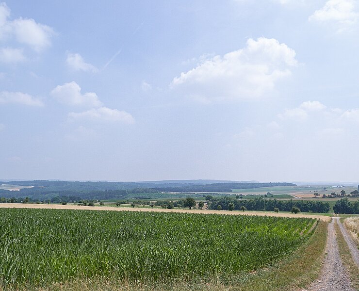 Blick über Felder
