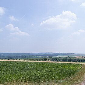 Blick über Felder